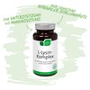 NICApur® L-lysine complex - to support the immune system and