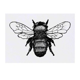'Bumble Bee' Temporary Tattoo - Water Resistant, Skin-Safe, Non-Toxic Transfer (TO00017017)