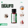 VIDA SCENTS OLEOS Aceite Esencial de Eucalipto 10 ML 100%