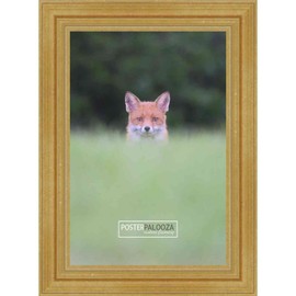 Poster Palooza A3 11.7x16.5 Traditional Gold Complete Wood Picture Frame with UV Acrylic Plexiglass, Foam Board Backing & Hardware Included