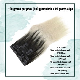 Clip in Hair Extensions 120G Ombre Natural Black to Silver Gray Remy Human Hair Extensions Soft Silky Straight for Fashion Women 7pcs 17clips 16Inch)