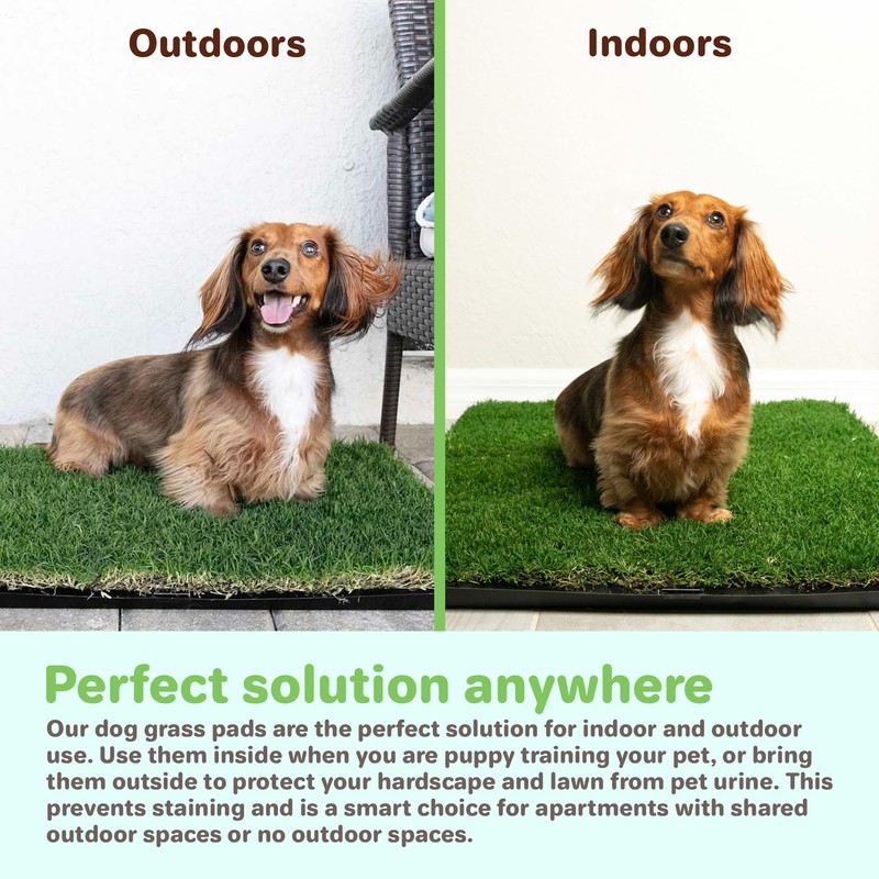 Gotta Go Grass - Real Dog Grass for Pet Training,