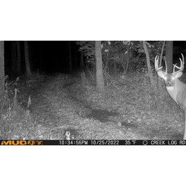 Muddy Manifest Cellular Camera with SD Card - Verizon