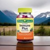 Spring Valley Immune Support Plus Supplement Gummies Elderberry 60 Count