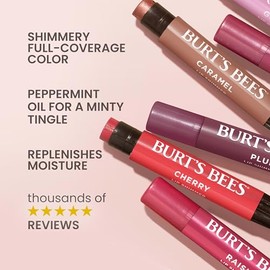 Burt's Bees Burt's Bees Lip Shimmer Nude 18/3x0.09oz SRU Global - Fig, Peony, Raisin