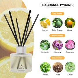 Brakula 2 Packs Reed Diffusers Set- Home Fragrance, Lemon Verbena Diffuser Essential Oil, 16 Diffuser Sticks for Bathroom, Living Room, Bedroom, Home & Office Decor
