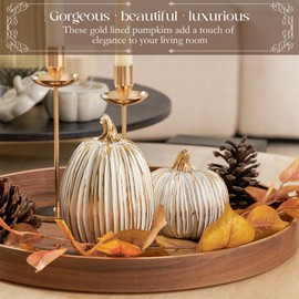 Fall Decor-2PCS Fake Resin Autumn Pumpkins Decorations for Thanksgiving Home Table Centerpiece Shelf Mantel Decor, Fall Season Artificial Decorative Pumpkins for Indoor Kitchen Harvest,White&Gold