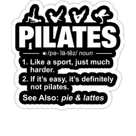 eden tee Funny Contrology Instructor Puns Pilates Definition- 4x3 Vinyl Stickers, Laptop Decal, Water Bottle Sticker (Set of 3)