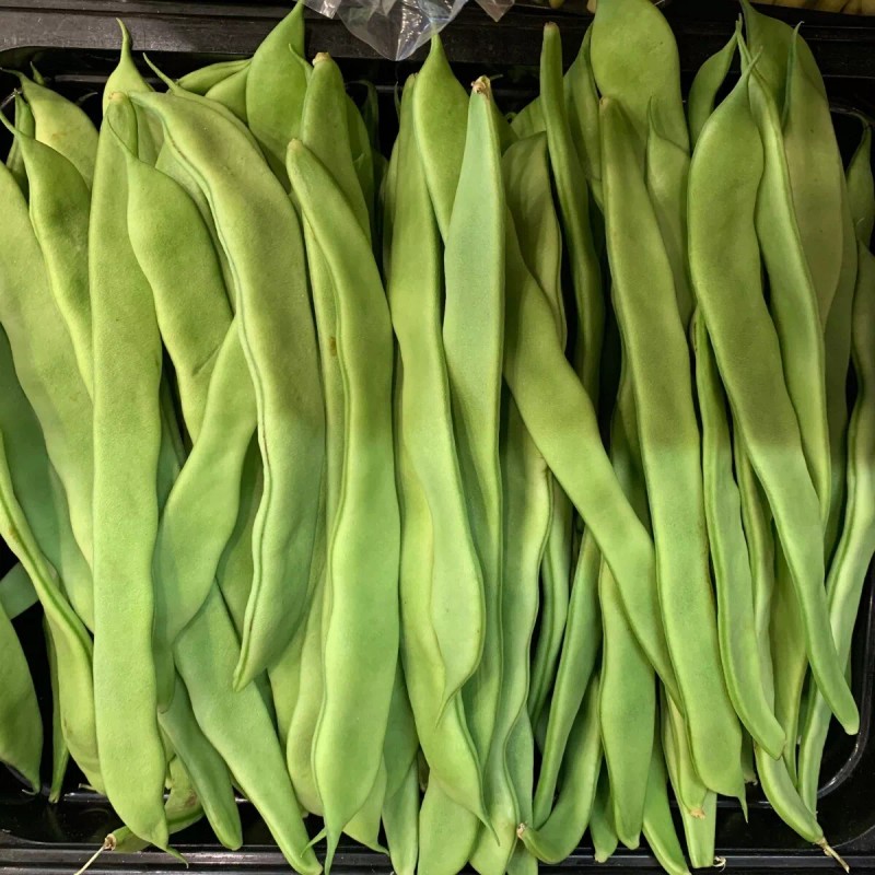 TomorrowSeeds Lu Qing Romano Bean Seeds | Pole Beans Light
