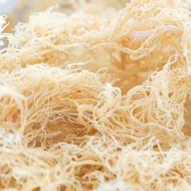 Raw Organic Wildcrafted Sea Moss | 100G | Eucheuma Cottonii | St Lucia | Pure Sea Moss UK
