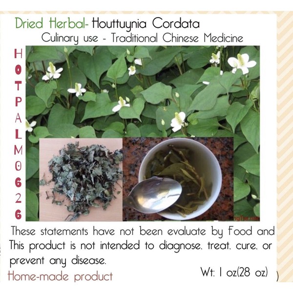 Dried Fresh Herbal Houttuynia Cordata Fish Mint chameleon Tea- 2 oz,