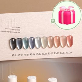 Revzel Silk Magnet Gel 10-piece set / 레브젤 실크 자석젤 10종 세트