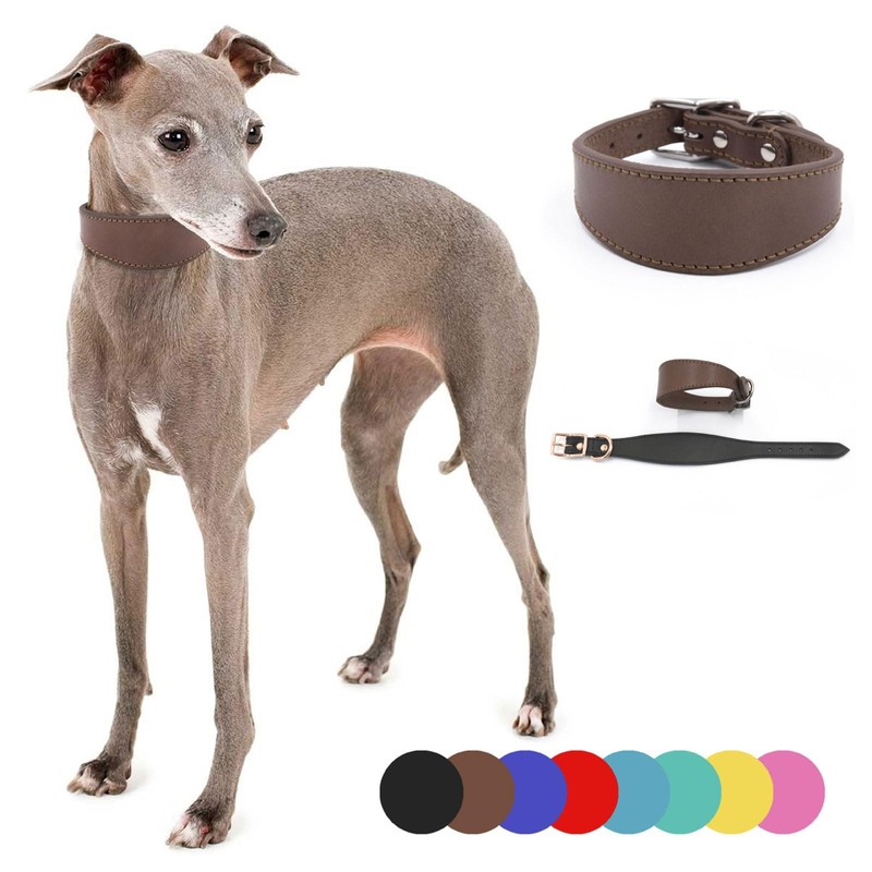 BHFYOB Leathers Soft Padded Whippet Salukis Greyhound Adjustable Collar Large
