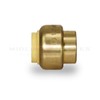 Pushlock UPSE12 Plug End Cap Pipe Fitting Push to Connect