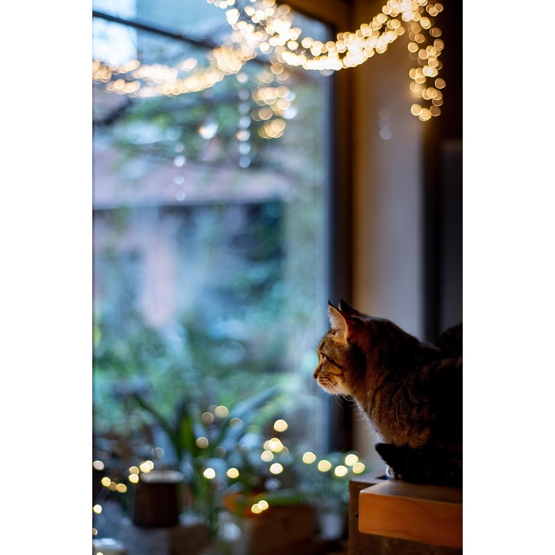 Kamaca lotus table cloth, Magic Stars