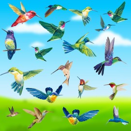 Zindoo 9 Sheet Spring Summer Birds Window Clings, 38Pcs Double Sided Beautiful Hummingbird Birds Window Stickers Decals Anti Collision, Reusable Static Cling Window Stickers for Glass Window Doors