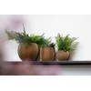 Capi Europe - Flower Pot Ball Groove Black & Gold