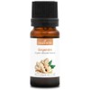 ZENZERO (Zingiber officinale) BIO - 10mL - Olio Essenziale di