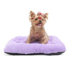 Extra Small Dog Bed for Crates 22 Inch Super Soft Plush Indoor Pet Bed for Dogs, Puppies, Cats, and Rabbits Purple