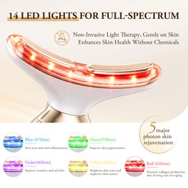 ANLAN Facial Massager