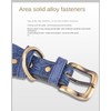Pimaodog Leather Dog Collar, for Large, Medium & Small Dogs,