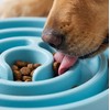 Eco-Friendly Non-Slip Slow Feeder Dog Bowl