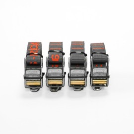 Rollercam 1.0" Cam Buckle Tie Down Straps - Signature Roller Technology - Ideal for Overlanding, Rafting, and Outdoors - Secure Straps for Gear and Cargo - 4 Pack (Straight End, 9 Foot)