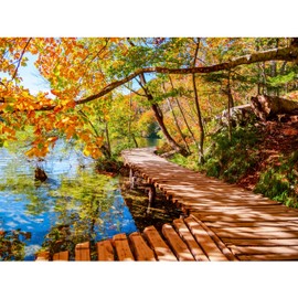 1000 Piece Puzzle for Adults – Golden Forest Trail Beside Quiet Lake in Autumn, Gift-Ready Box, Letters on Back, 8 Jigsaw Puzzle Saver Sheets & Full-Size Poster by GERJATO – Ideal Gift for Loved Ones