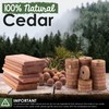 ecoKiwi Cedar Blocks for Clothes Storage Mega Bundle Box -