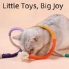 BigyQiu 3PCS Catnip Toy Bite Rope,Chew Sticks for Cats,Teething Chew