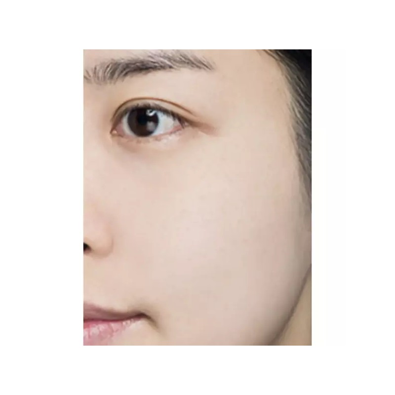 The Som 더샘 샘물 퍼펙트 포어 보송 밀착 기름종이 팩트
