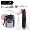 Sofeiyan Wig, Ponytail, Inner Color, Twin Tail Extension, Long, Straight