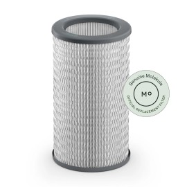 Molekule Air PECO-Filter | Air Purifier Filter Replacement to Remove Dust, Mo...