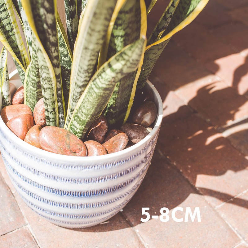 5 lbs Approx. 25 River Rocks Pebbles for Plants Natural