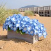 12Pcs Blue Preserved Dried Flowers Plant,Wide Applications Dried Pressed Flowers