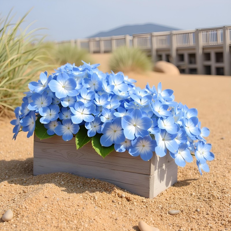 12Pcs Blue Preserved Dried Flowers Plant,Wide Applications Dried Pressed Flowers