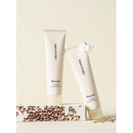 Blemish Cream 100ml / 블레미쉬 크림 100ml