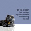 Whole Life Cat Just One Salmon Freeze Dried Cat Treats