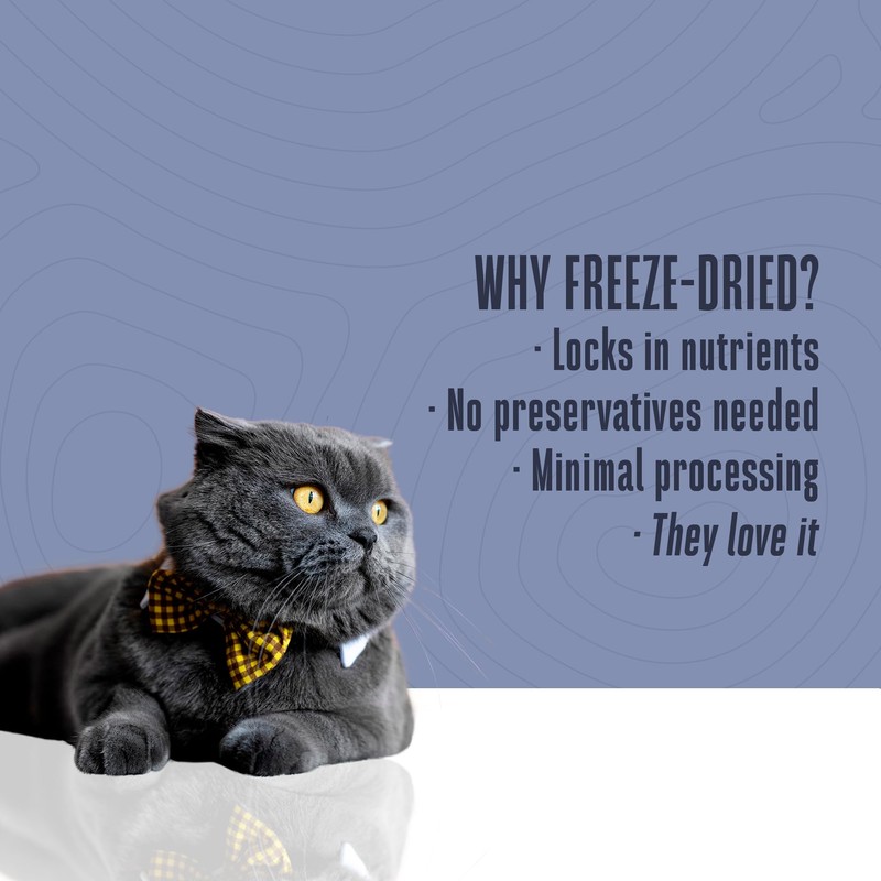 Whole Life Cat Just One Salmon Freeze Dried Cat Treats