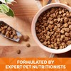 Nature's Recipe Dry Dog Food, Chicken, Barley & Brown Rice