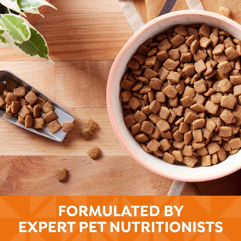 Nature's Recipe Dry Dog Food, Chicken, Barley & Brown Rice