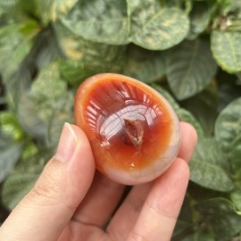 Manekieko Natural Carnelian Irregular Polished Crystals and Healing Stones, Palm Crystal Healing Gemstone