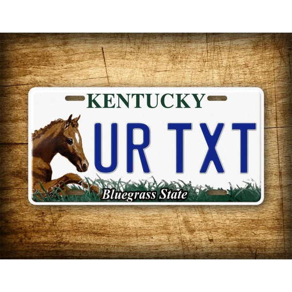 SignsAndTagsOnline.com Personalized Kentucky Bluegrass State License Plate ANY TEXT 6x12