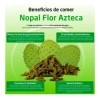 Nopal En Salmuera Flor Azteca 2 Kg