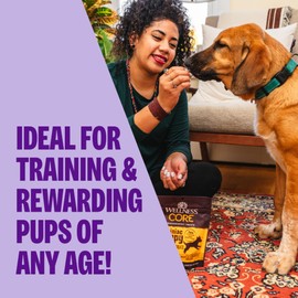 Wellness CORE Puppy Treats, Natural, Training Treat, Grain Free, Brainiac Beef & Turkey (6 Ounce Bag)