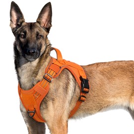 rabbitgoo Tactical Dog Harness for Large Dogs, No Pull Military Dog Harness with Handle & Molle, Easy Control Service Dog Vest Training Walking, Adjustable Reflective Tactical Pet Harness, Orange, XL