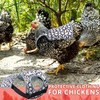 MYWSN Chicken Saddle for Hens Lightweight Chicken Apron & Back