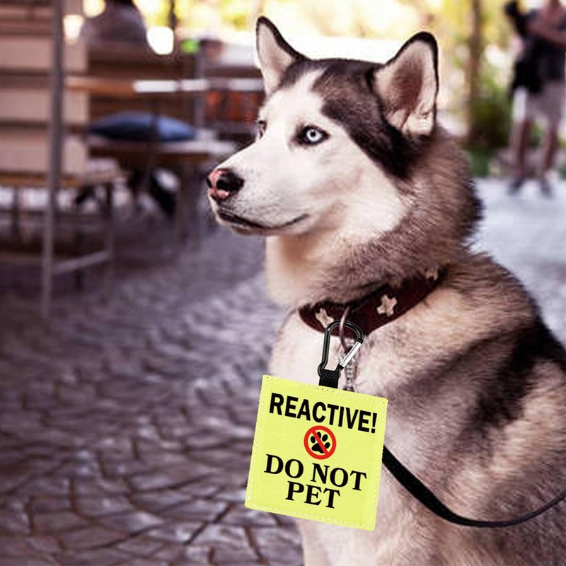 CHOORO Reactive No Dogs/Do Not Pet Alert Hanging Patch (Yellow,