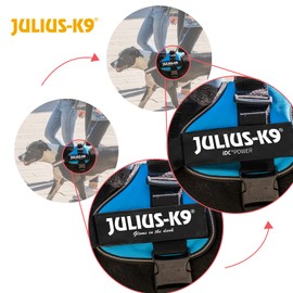 Julius-K9 Powerharness, Baby 1, Aquamarine