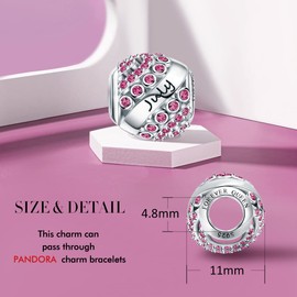 FOREVER QUEEN Birthstone Charms for Charms Bracelet 925 Sterling Silver Bead Openwork Charms, Happy Birthday Charms for Bracelet and Necklace (July Birthstone)